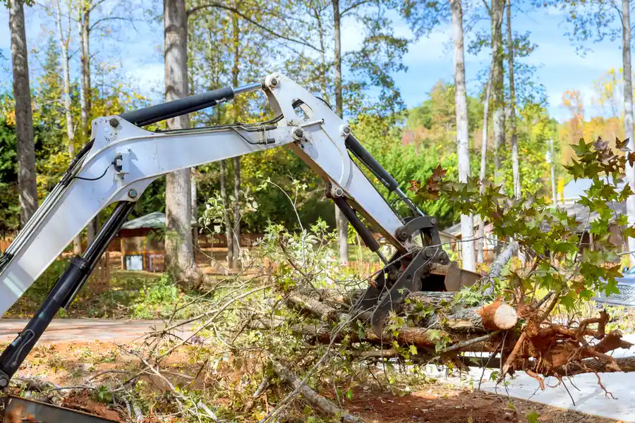 Premium Land Clearing Gainesville, GA
